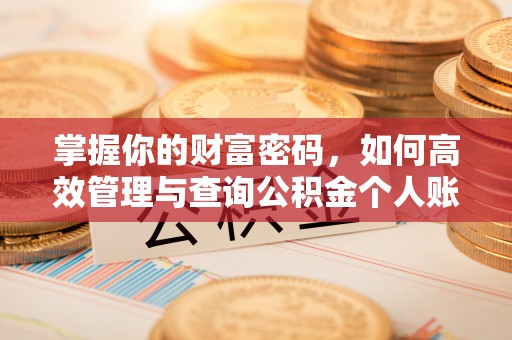 化州掌握你的财富密码，如何高效管理与查询公积金个人账户信息