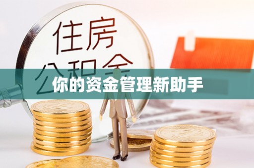 化州你的资金管理新助手