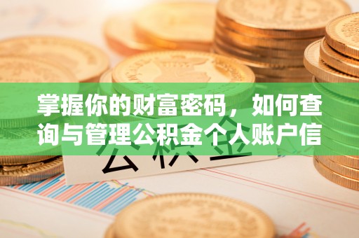 化州掌握你的财富密码，如何查询与管理公积金个人账户信息