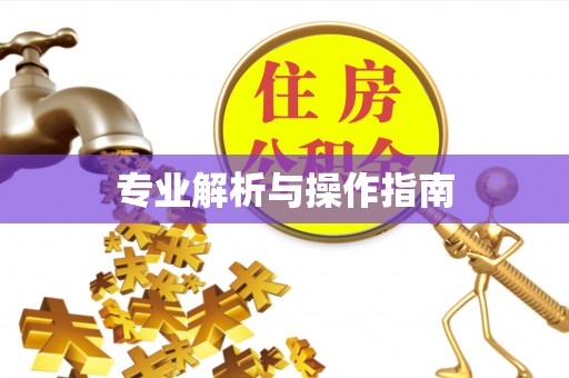 化州专业解析与操作指南