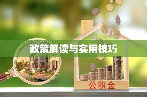 化州政策解读与实用技巧