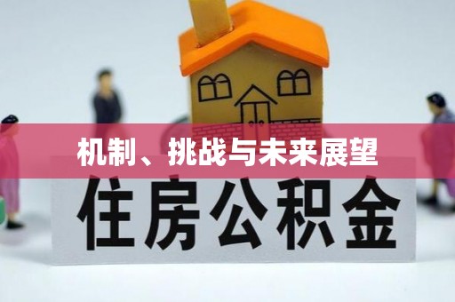 化州机制、挑战与未来展望
