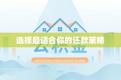 化州选择最适合你的还款策略